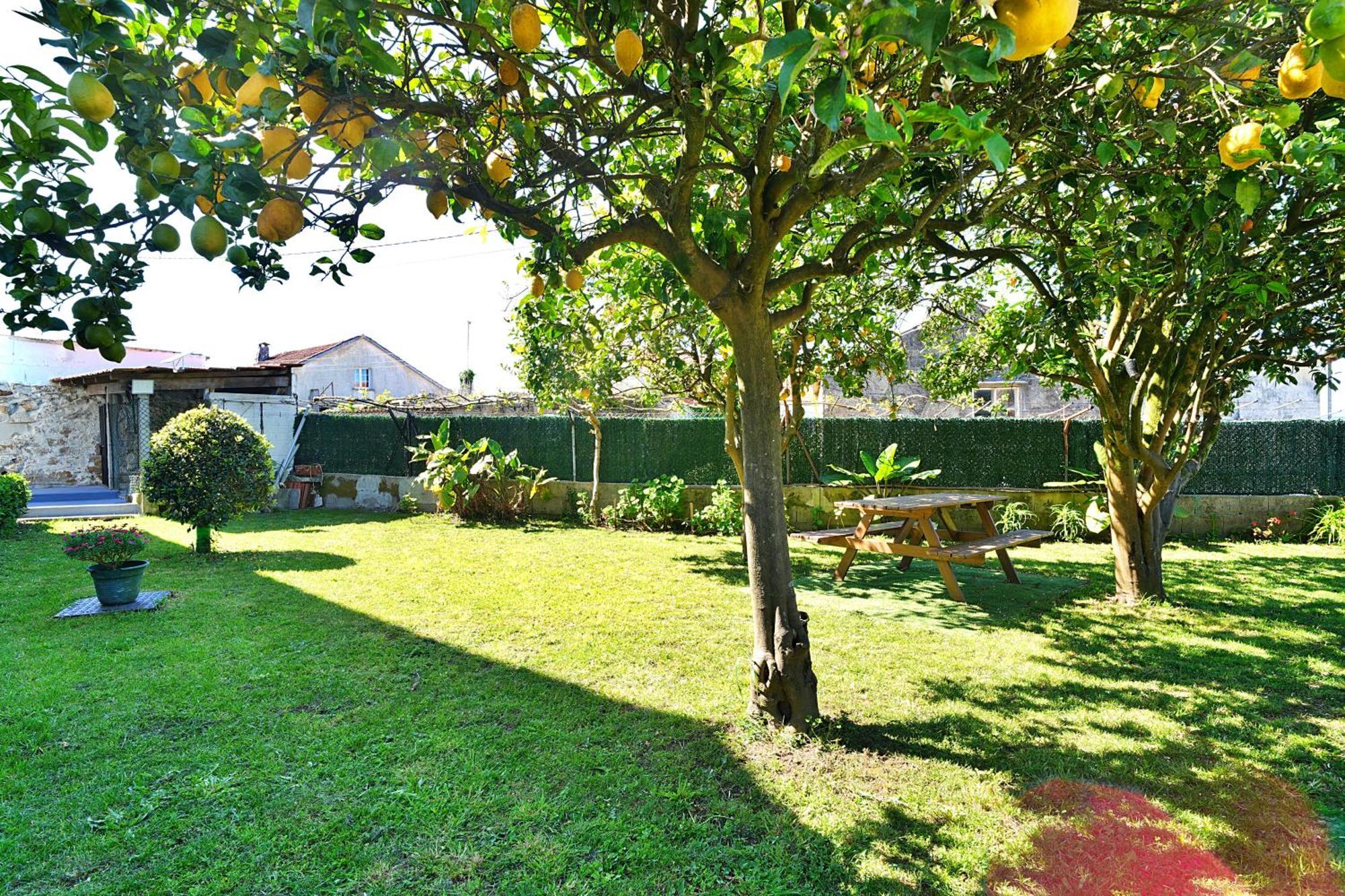 Casa Con Jardin En Vilanova De Arousa ปอนเตเบดรา ภายนอก รูปภาพ